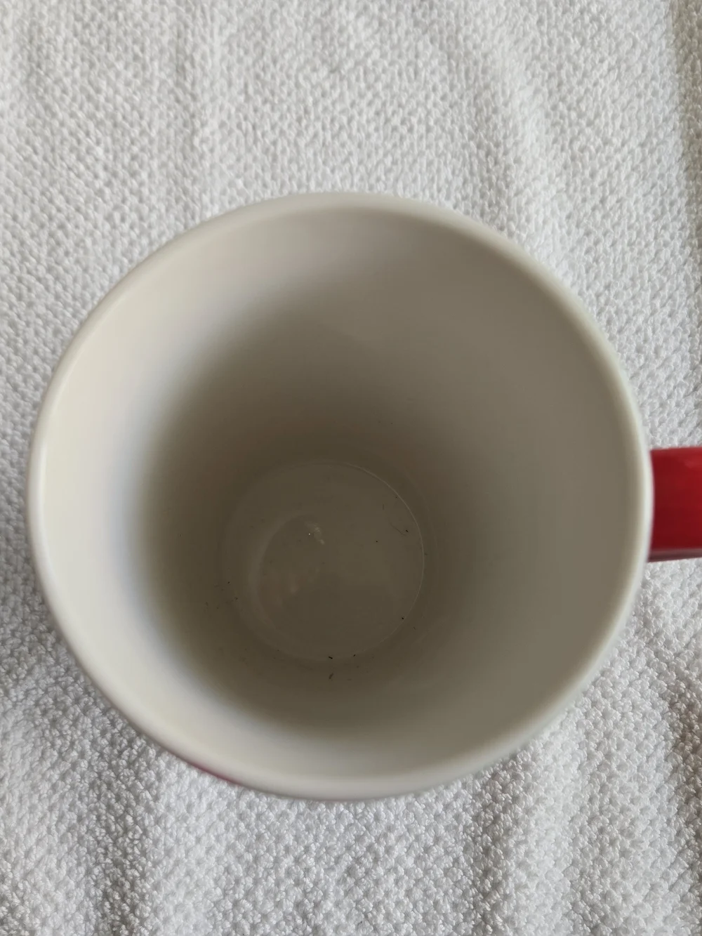 Starbucks Red Poinsettia Ceramic Mug - Holiday Home Accent